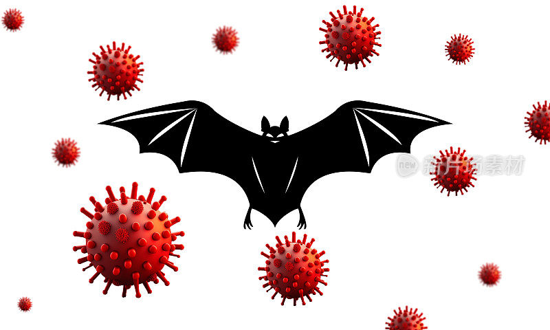 分离出蝙蝠传染病。尼帕蝙蝠病毒。尼帕病毒概念，尼帕亨尼帕病毒，亨德拉病毒，脑炎。肺部和脑部疾病，covid - 19。